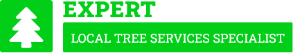 Eastern Suburbs Tree Lopping - Tree Removal Eastern Suburbs